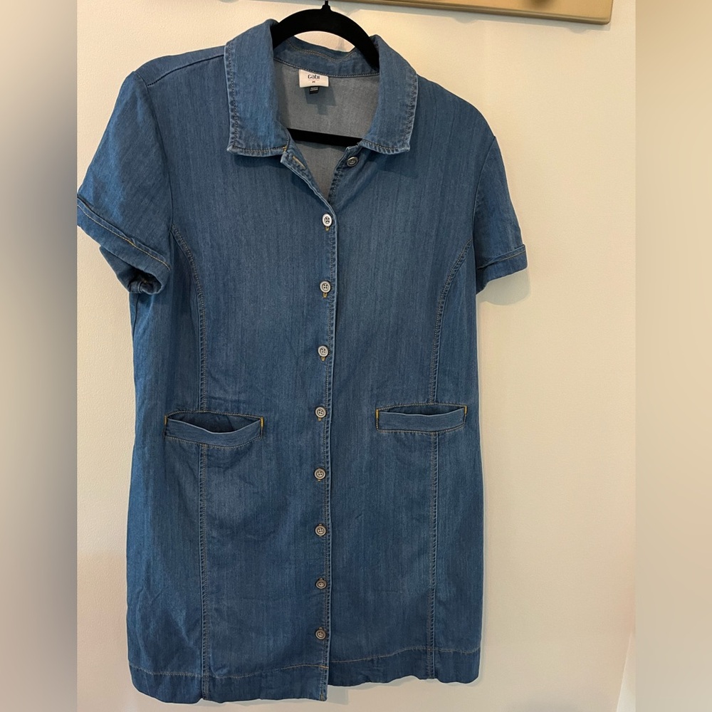 CAbi Piece of Cake Dress